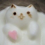 押上猫庫 - ソイオーレ