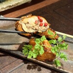 토리사토 벳테이 - 