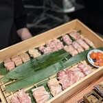 토리사토 벳테이 - 