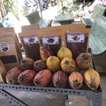 森森舎 - 熟したカカオ豆売ってた　赤くなるんだね