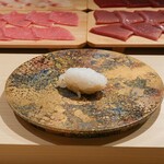 寿し道 桜田 - あおり烏賊