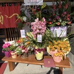 とんかつ朱寿 - 