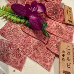 A5仙台牛焼肉 肉豊作 神田駅前店 - 