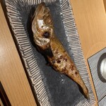 志げる - はたはたの一夜干し