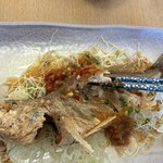 おさかな倶楽部 - 