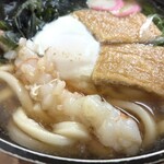 小島 - 海老はそれほど大きくはないが、
弾力のある身質。