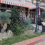 ボンゴ アンド アンカー - 