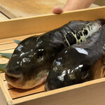 とらふぐ専門 ふぐ中俣 - 