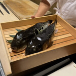 とらふぐ専門 ふぐ中俣 - 