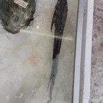 有限会社一鱗 新岡商店 - 