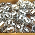 ドゥ クール ショコラ - 紅茶は注文前に香りの見本を出してくれます。