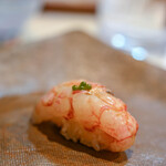 うを徳 - "緋衣鰕（ひごろもえび）"