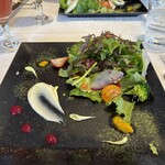 アマルフィイ ウノ - 