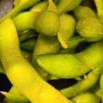 京都焼き鳥木下 - 