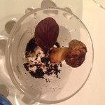 ア・ニュ ルトゥルヴェ・ヴー - 