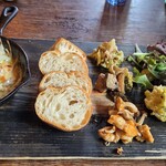 マケイヌノトオボエ - 