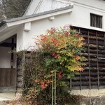 川安 - 駐車場のところにあった
      　　『南天』の木