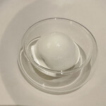 プレゼンテ スギ - 