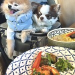 DDSK サイゴン キッチン - 