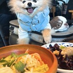 DDSK サイゴン キッチン - 