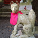 しんたく - 富士吉田側の浅間神社のお稲荷さま