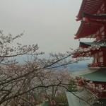 しんたく - 春の忠霊塔と霞んだ富士