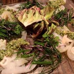 エビスエスクラッシコ - 