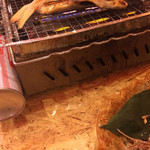 日比野市場鮮魚浜焼きセンター - 