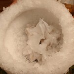 緒方 - 雪まろげ_この中から1つ選ぶ(福を引くスタイル)