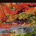 川安 - 画像はネットから引用