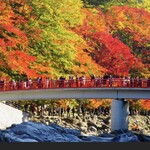 川安 - 画像はネットから引用