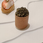 アマラントス - 