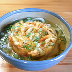 溜 - かき揚げうどん
