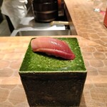 初音鮨 - 鮪中トロ