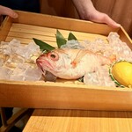 のどぐろ専門 銀座 中俣 - 