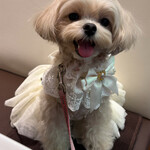 コリアン うしすけ - 