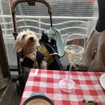 ピッツェリア ピッキ - 