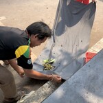 森森舎 - お父さんがひと枝くれた　そんな悪いよ　いいから持っていき　ありがとうってなんか伝わる♡でもとっても酸っぱくて苦い　ここまでして採ってるのに...？