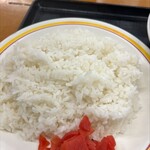 亀山トラックステーション  - ご飯クソ盛り