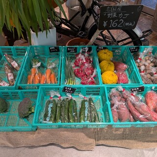 ベジトリップ_0