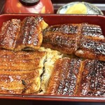 炭焼うなぎ あおいや - 