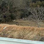 仁木家 お箸で食べる蕎麦とフレンチ - 