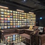 Vinyl Starfield Suwon - 