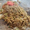 お好み焼吉野 - 