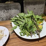 Phở Việt Nam - 