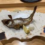 こい勢 - 鰰（はたはた）