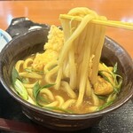 手作りうどん 天粉盛 - 