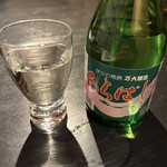 片瀬館ひいな - 