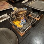 片瀬館ひいな - 