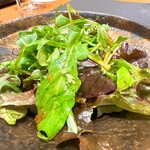 京町堀 なかむら - 梶谷農園ベビーリーフのサラダ ◎めちゃくちゃ美味しい！